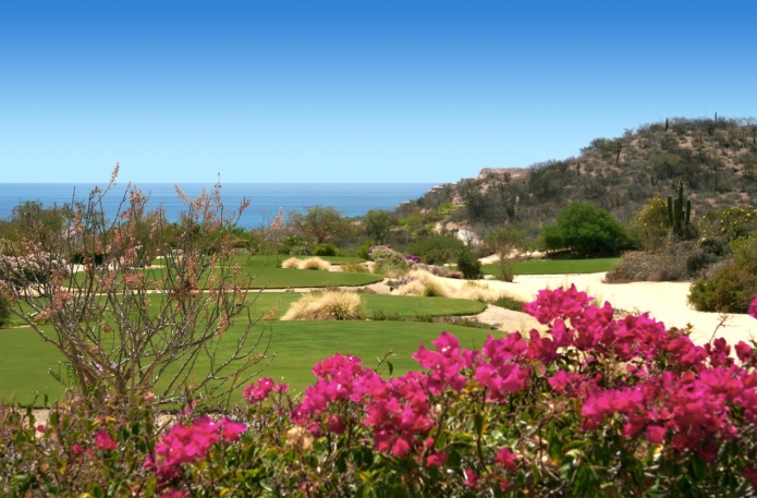 pg13_Oasis_Palmilla3