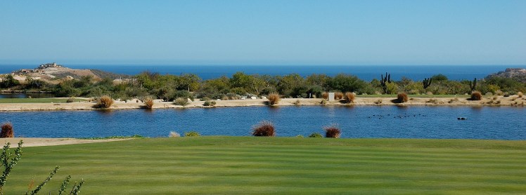 Oasis Palmilla Oasis Palmilla